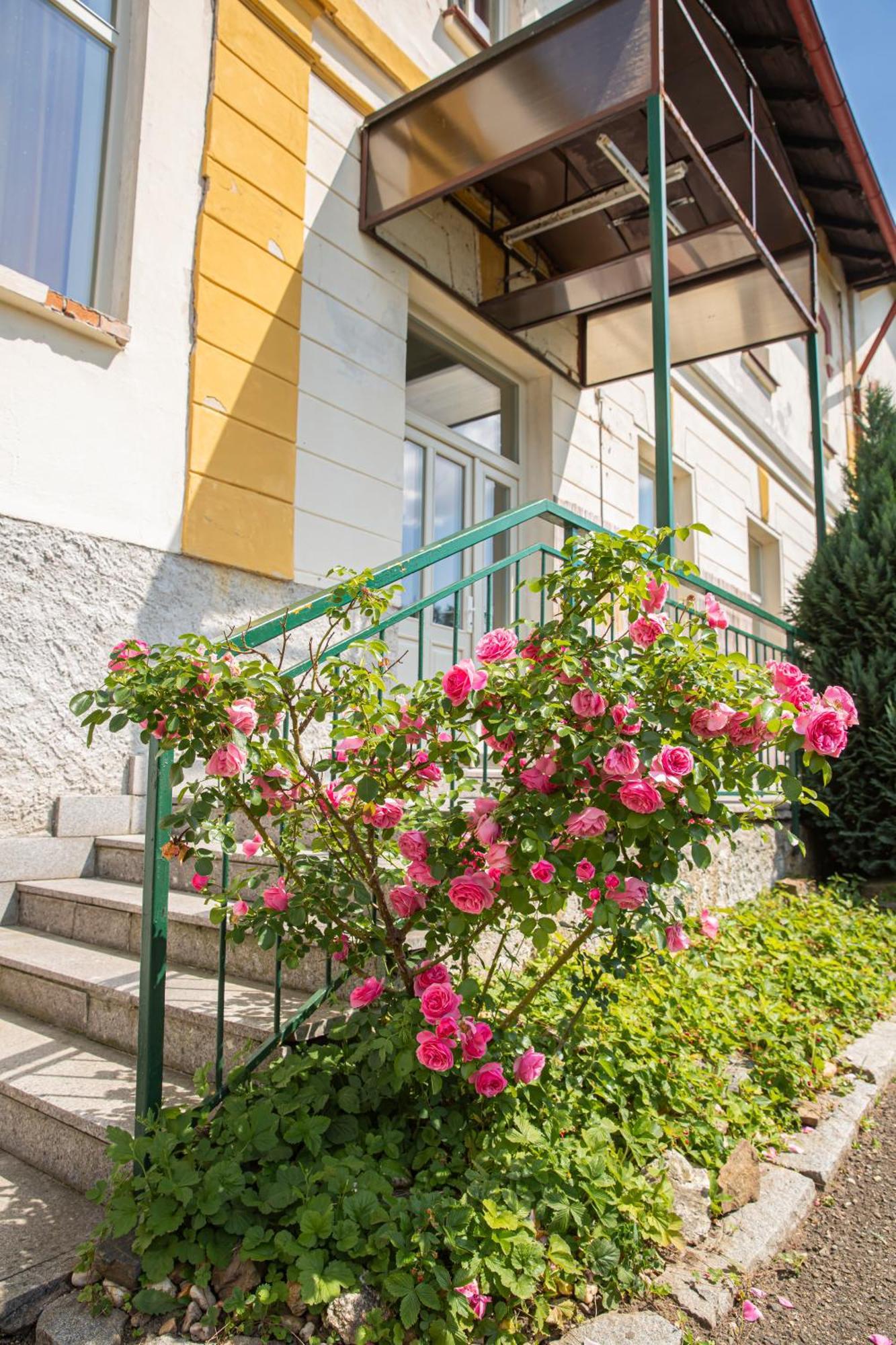 Pension V Parku Чески-Штернберк Экстерьер фото